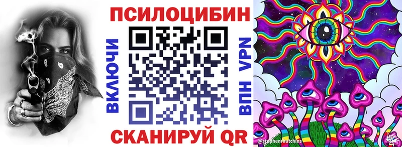 Купить где  Шенкурск  Псилоцибиновые грибы ЛСД 